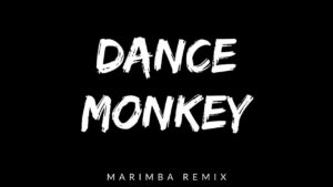 Dance Monkey Marimba 着信音